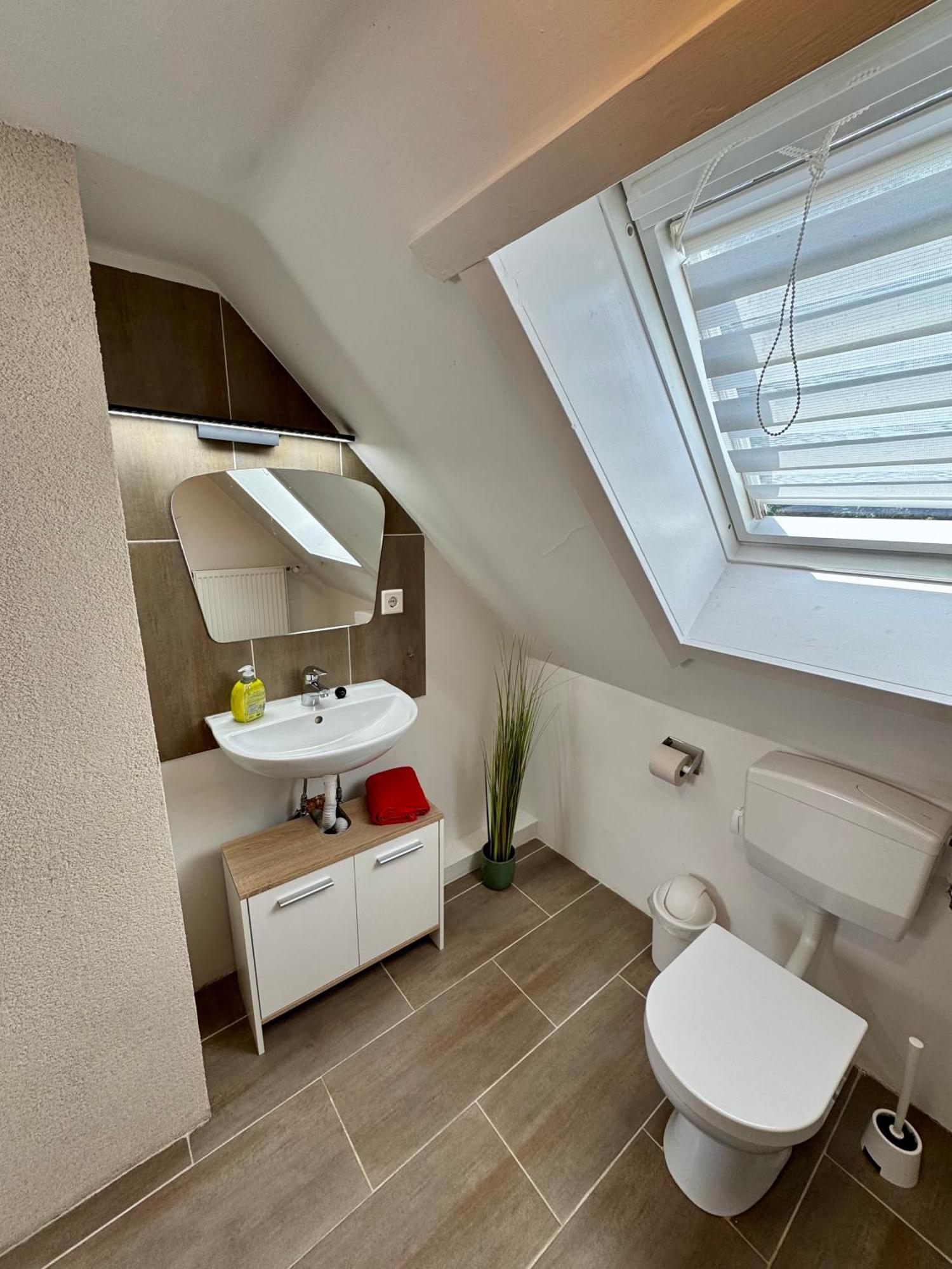 Apartment Waldkauz - Altenau 阿尔特瑙 外观 照片